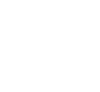 il leone